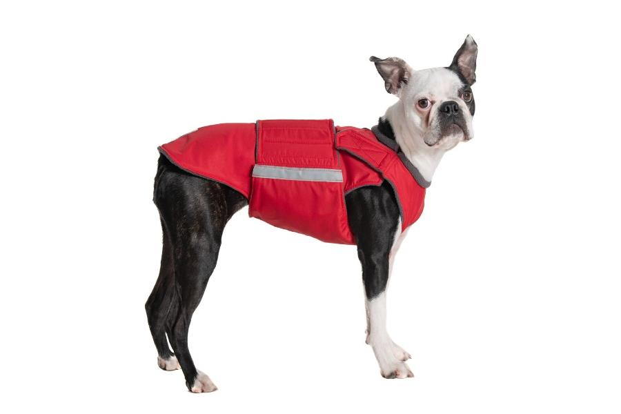 BOSTON TERRIER WINTER DOG COAT MADE TO ORDER Pepper Petwear