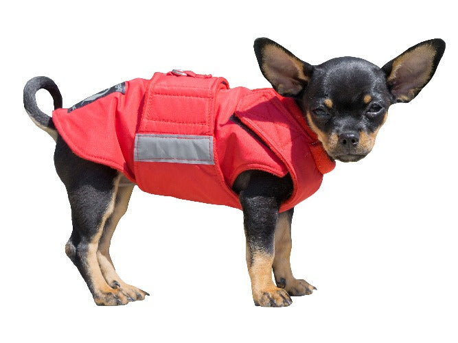 Chihuahua winter hot sale jacket