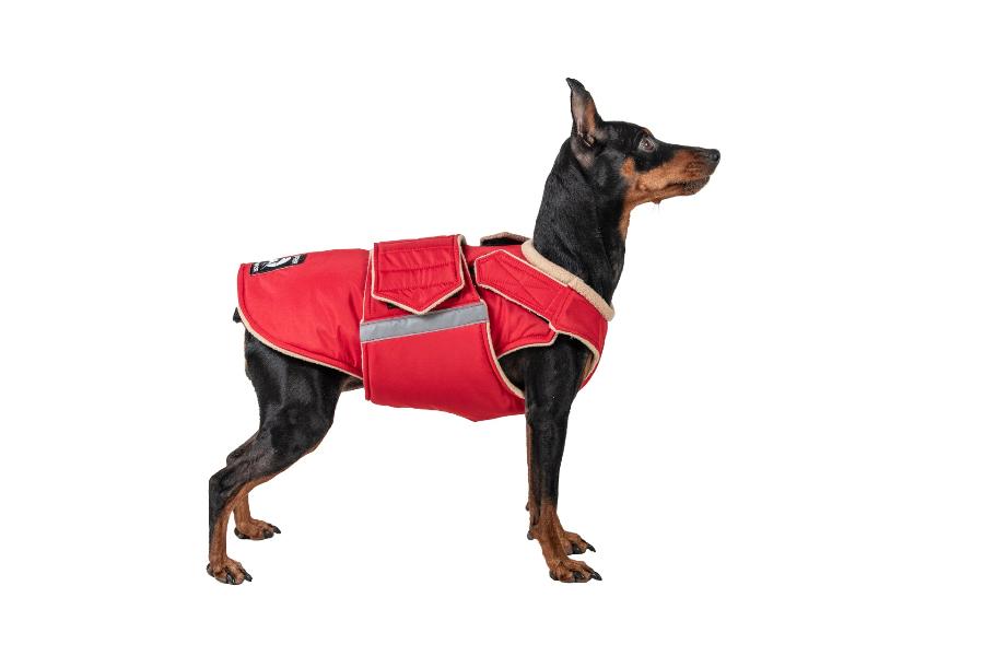 MINIATURE PINSCHER EXTRA WARM WINTER DOG COAT / MADE TO ORDER