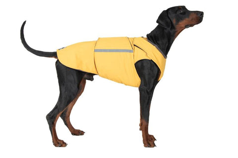 DOBERMAN PINSCHER WINTER DOG COAT / MADE TO ORDER