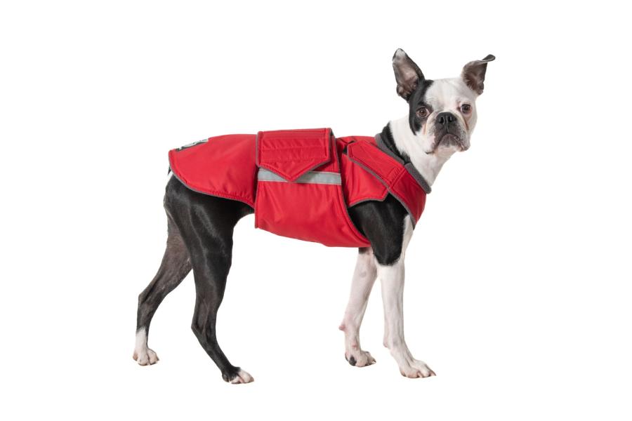 BOSTON TERRIER RAINCOAT / MADE TO ORDER