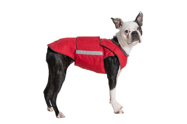 BOSTON TERRIER RAINCOAT / MADE TO ORDER