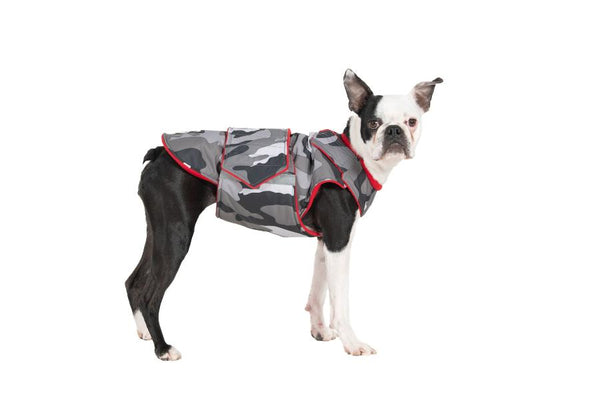 BOSTON TERRIER EXTRA WARM WINTER DOG COAT / MADE TO ORDER