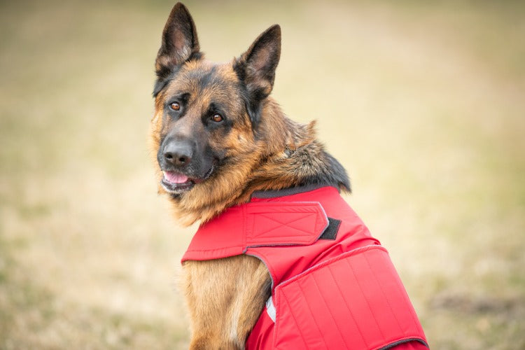 GERMAN SHEPHERD WINTER DOG COAT MADE TO ORDER