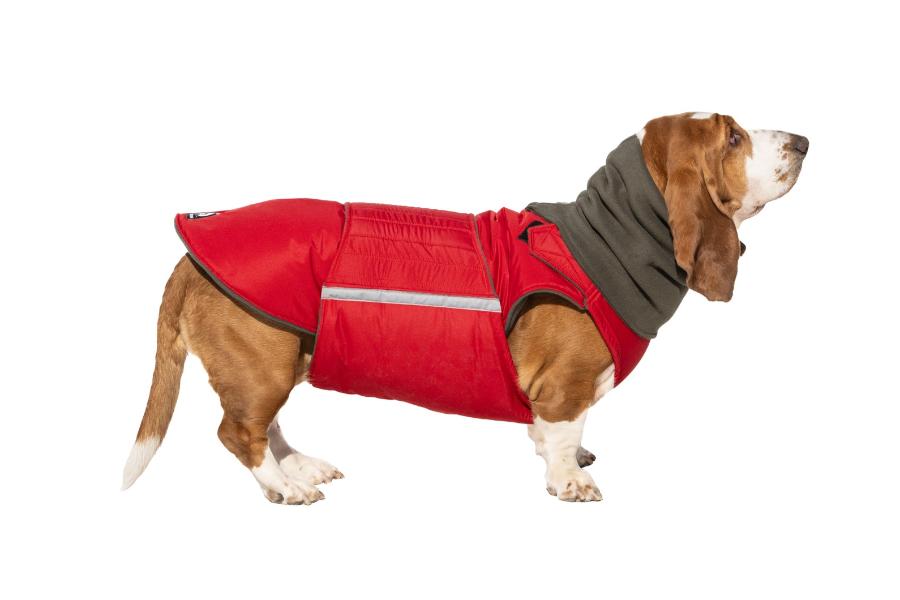 BASSET HOUND EXTRA WARM WINTER DOG COAT + NECK WARMER/ MADE TO ORDER