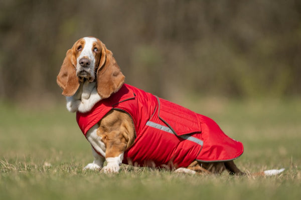 BASSET HOUND EXTRA WARM WINTER DOG COAT / MADE TO ORDER