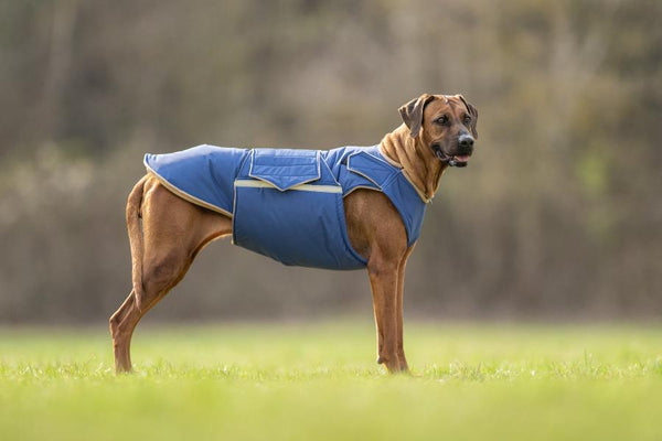 RHODESIAN RIDGEBACK EXTRA WARM WINTER DOG COAT / MADE TO ORDER