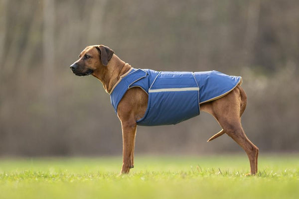 RHODESIAN RIDGEBACK EXTRA WARM WINTER DOG COAT / MADE TO ORDER