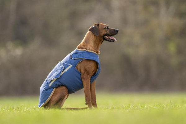 RHODESIAN RIDGEBACK EXTRA WARM WINTER DOG COAT / MADE TO ORDER