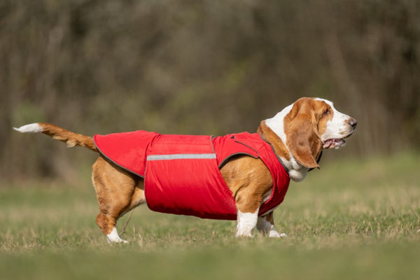 BASSET HOUND EXTRA WARM WINTER DOG COAT / MADE TO ORDER