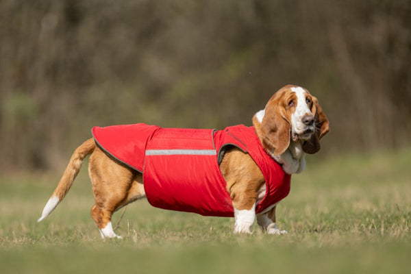 BASSET HOUND EXTRA WARM WINTER DOG COAT / MADE TO ORDER