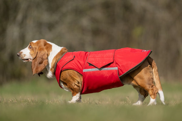 BASSET HOUND EXTRA WARM WINTER DOG COAT / MADE TO ORDER