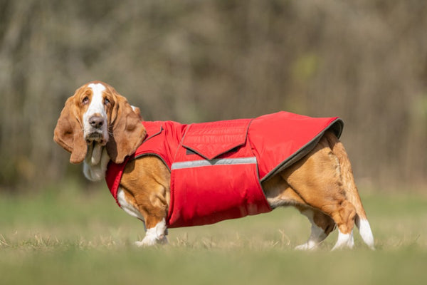 BASSET HOUND EXTRA WARM WINTER DOG COAT / MADE TO ORDER