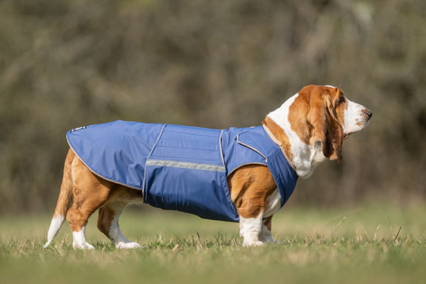 BASSET HOUND DOG RAINCOAT / MADE TO ORDER