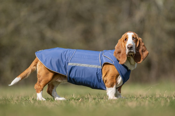 BASSET HOUND DOG RAINCOAT / MADE TO ORDER