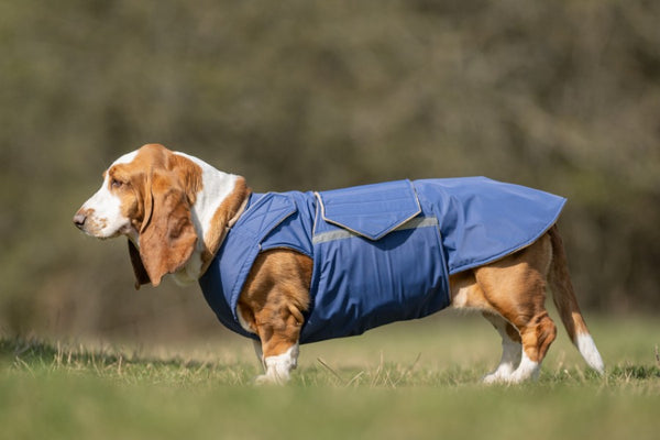 BASSET HOUND DOG RAINCOAT / MADE TO ORDER