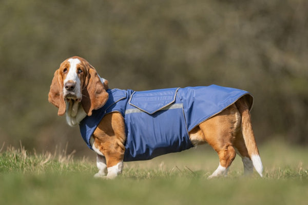 BASSET HOUND DOG RAINCOAT / MADE TO ORDER