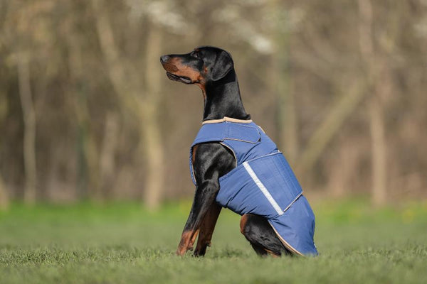 DOBERMAN PINSCHER EXTRA WARM WINTER DOG COAT / MADE TO ORDER