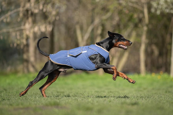 DOBERMAN PINSCHER EXTRA WARM WINTER DOG COAT / MADE TO ORDER