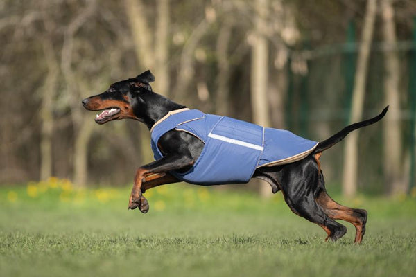 DOBERMAN PINSCHER EXTRA WARM WINTER DOG COAT / MADE TO ORDER