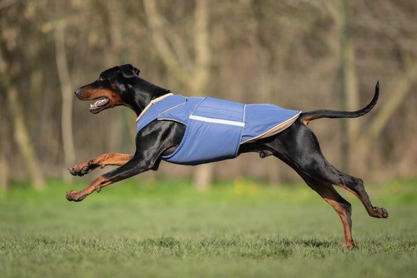 DOBERMAN PINSCHER EXTRA WARM WINTER DOG COAT / MADE TO ORDER