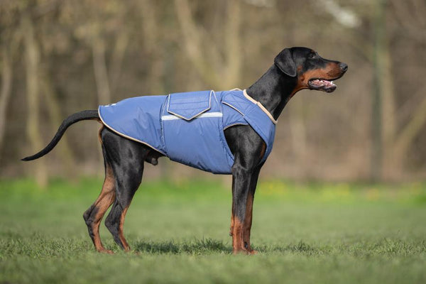 DOBERMAN PINSCHER EXTRA WARM WINTER DOG COAT / MADE TO ORDER