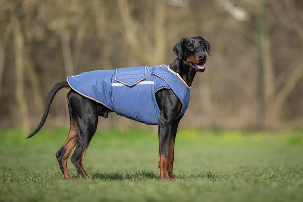 DOBERMAN PINSCHER EXTRA WARM WINTER DOG COAT / MADE TO ORDER