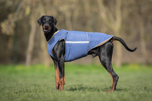 DOBERMAN PINSCHER EXTRA WARM WINTER DOG COAT / MADE TO ORDER