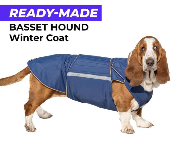 BASSET HOUND WINTER COAT - READY-MADE