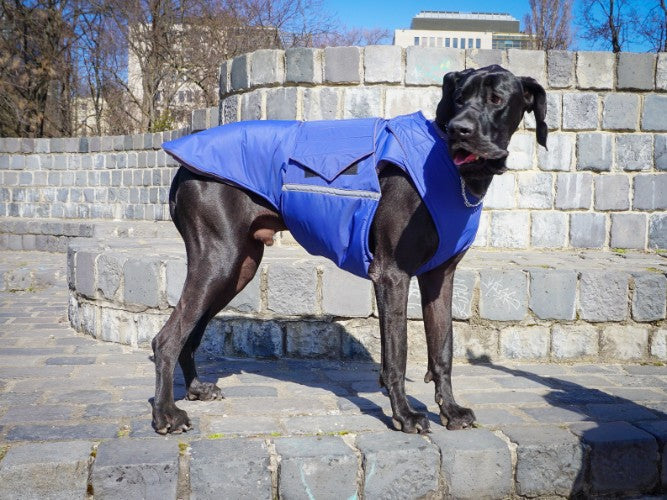 GREAT DANE EXTRA WARM WINTER DOG COAT MADE TO ORDER Pepper Petwear