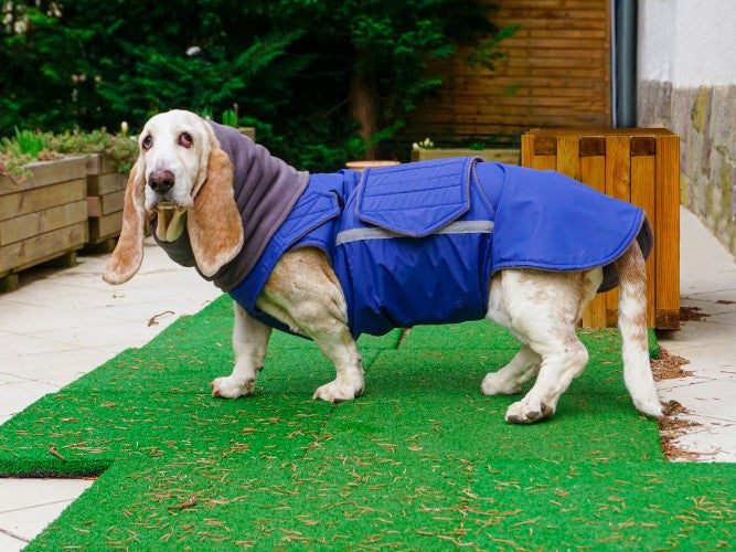 BASSET HOUND WINTER DOG COAT NECK WARMER MADE TO ORDER Pepper Petwear