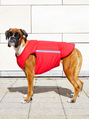 BOXER EXTRA WARM WINTER COAT - READY-MADE