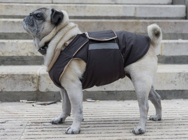 PUG EXTRA WARM WINTER COAT READY MADE Pepper Petwear