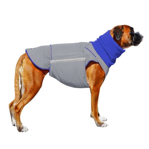 Boxer dog jumpers hotsell